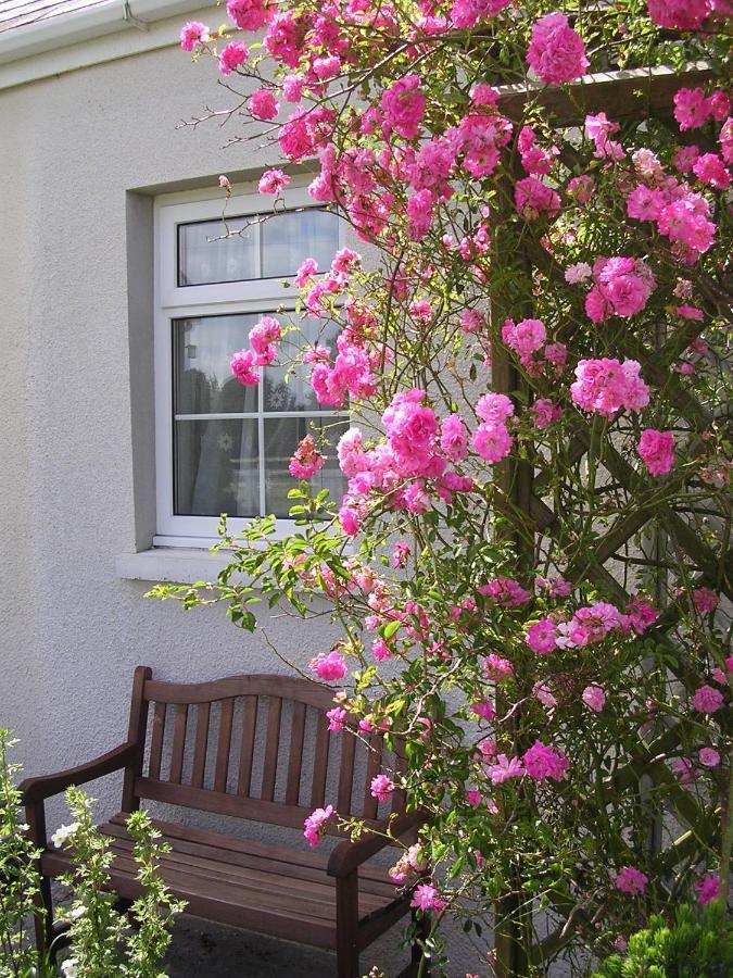 Glascoed Farmhouse Carmarthen Extérieur photo